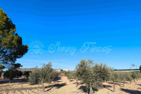 Landejendom i Yecla, Murcia, Yecla - € 185.000 | Ref: SF0522 - foto 30